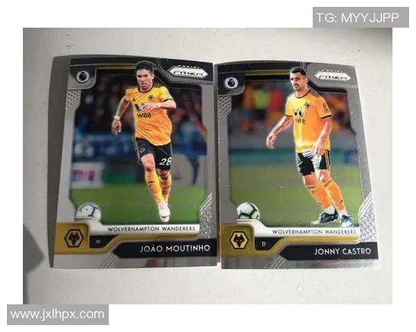 2024英超帕尼尼球星卡全面解析收藏价值与球员数据分析