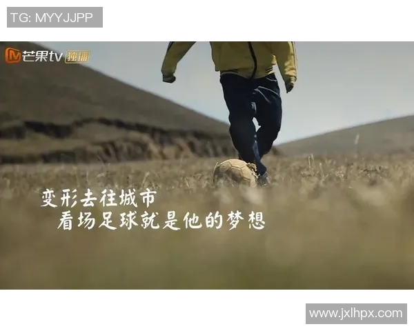 《球场传奇：一位足球巨星的自传与奋斗历程》